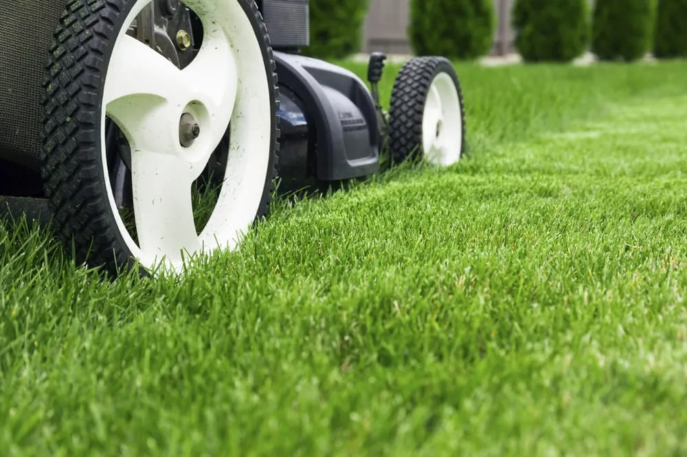 Local yard cleanup service with custom design in Tanner, AL by JL's Lawn Care
