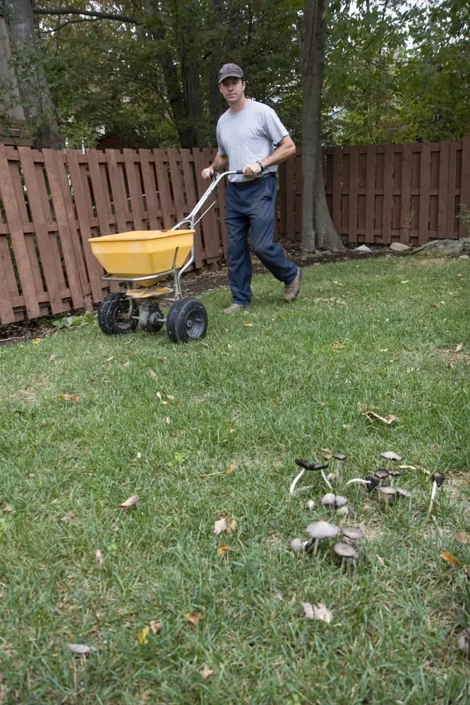 Expert outdoor landscaping for residential properties across Tanner, AL - JL's Lawn Care