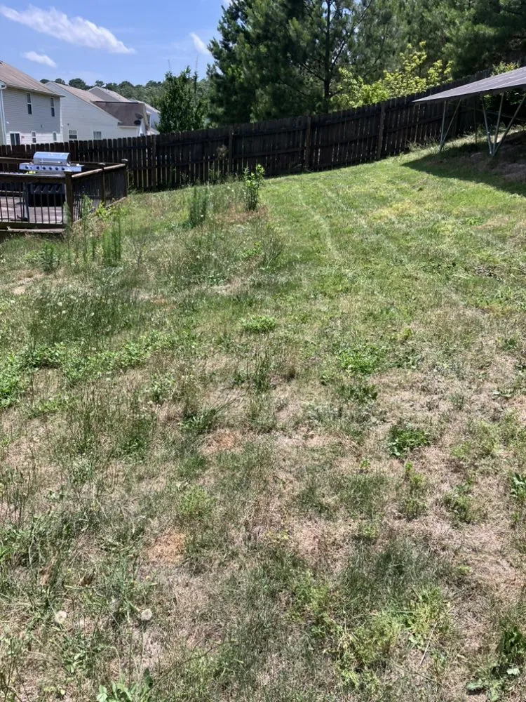 Affordable lawn care service for outdoor upgrades across West Columbia, SC - JLS Lawn Care