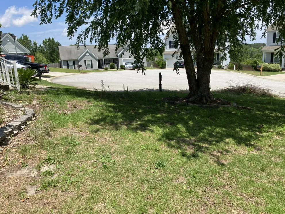 Professional lawn mowing service experts serving West Columbia, SC - JLS Lawn Care