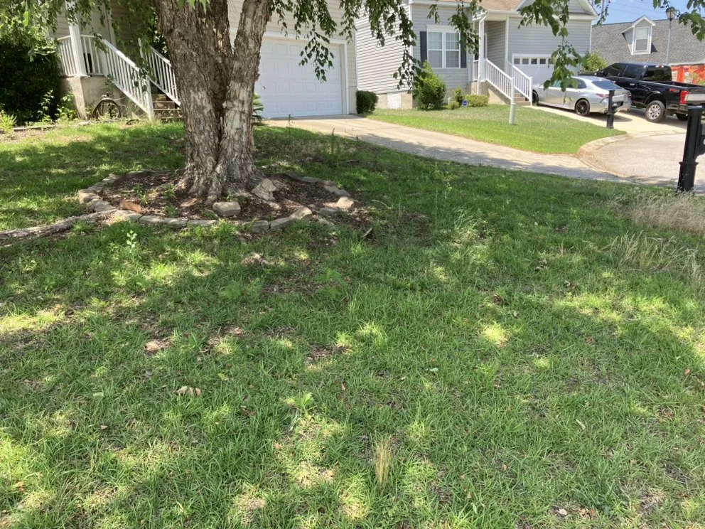 Trusted outdoor landscaping with custom design in West Columbia, SC by JLS Lawn Care