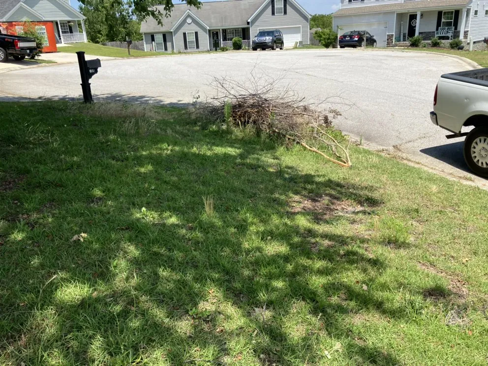 Top-rated yard maintenance for outdoor upgrades across West Columbia, SC - JLS Lawn Care