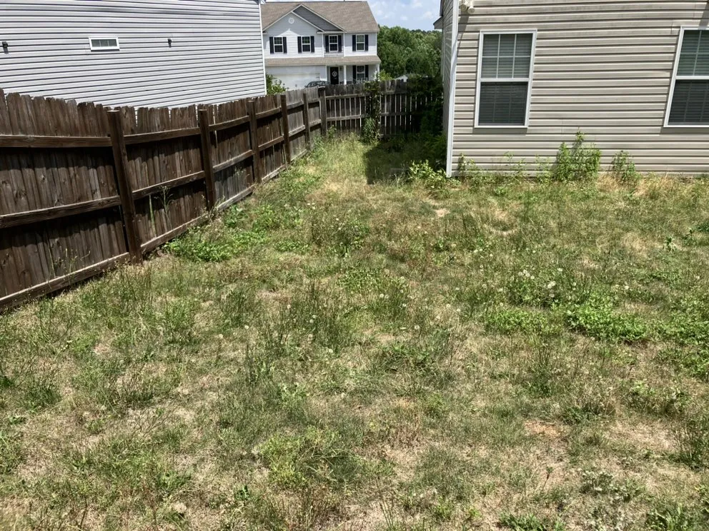 Professional garden landscaping with custom design in West Columbia, SC by JLS Lawn Care