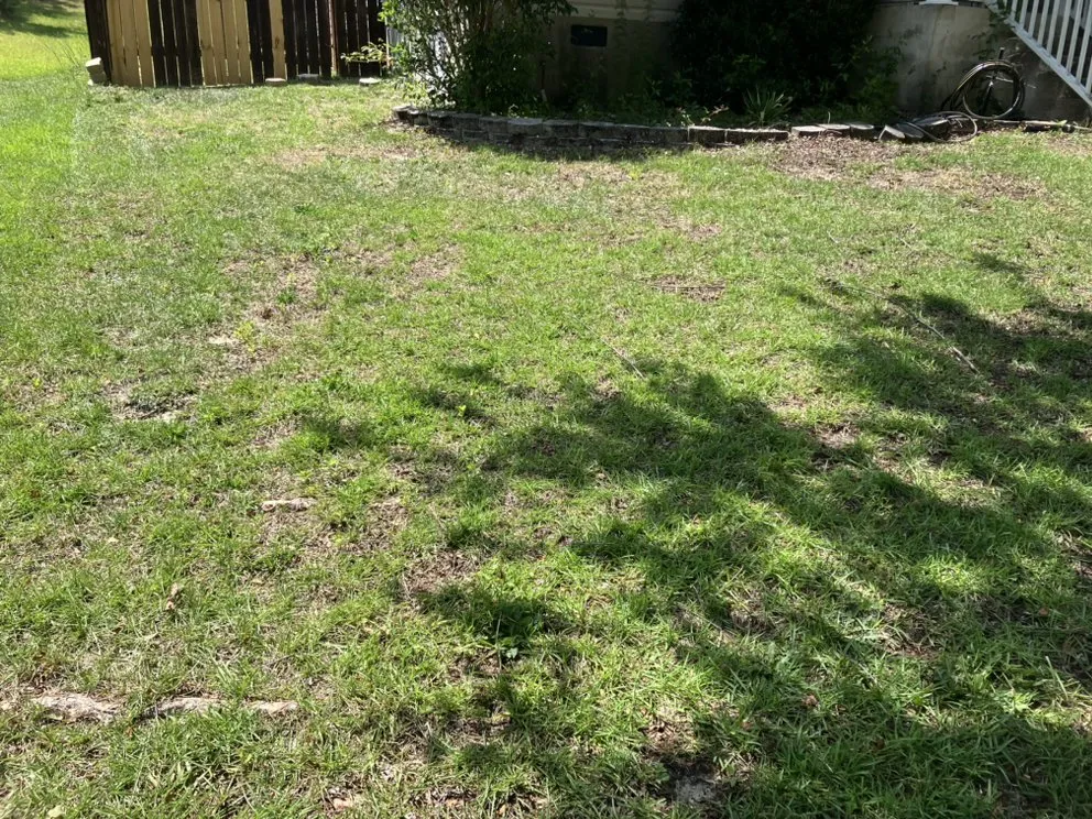 Top-rated residential landscaping in West Columbia, SC - JLS Lawn Care