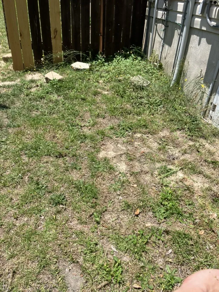 Top-rated yard cleanup service for outdoor upgrades in West Columbia, SC by JLS Lawn Care