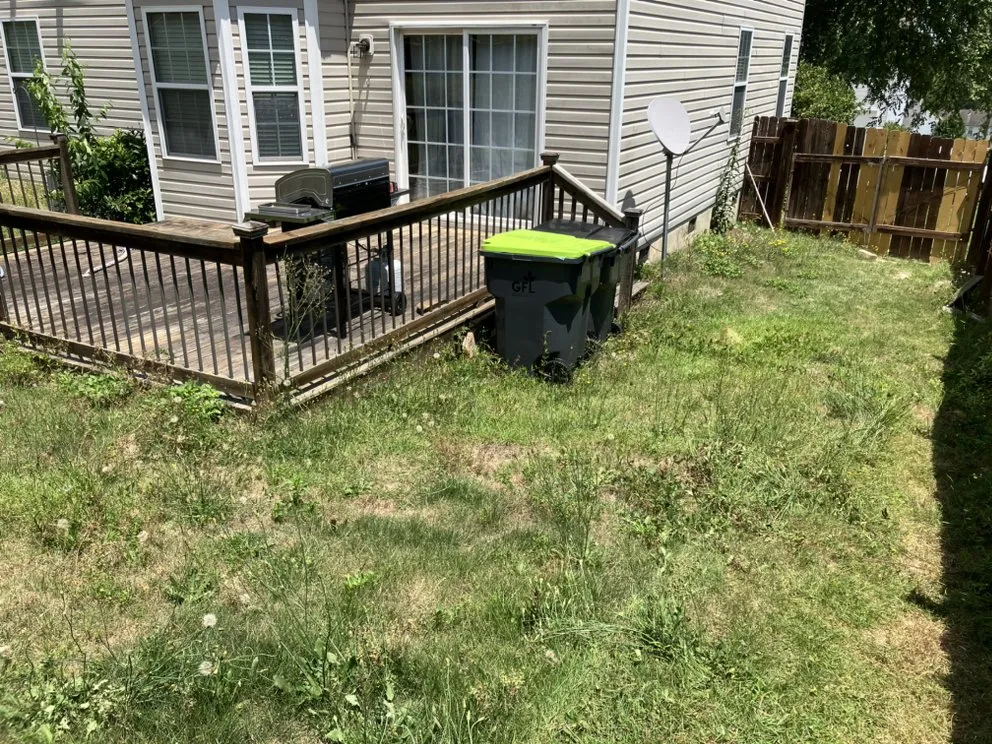 Professional yard cleanup service experts serving West Columbia, SC - JLS Lawn Care