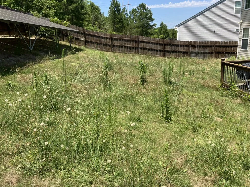 Trusted landscape design experts serving West Columbia, SC - JLS Lawn Care