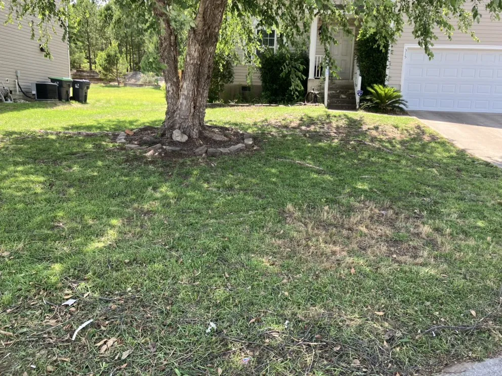 Reliable lawn mowing service in West Columbia, SC - JLS Lawn Care