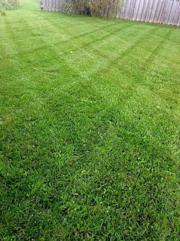 Expert landscaping services experts serving Amherst, NY - JLS Property Maintenance