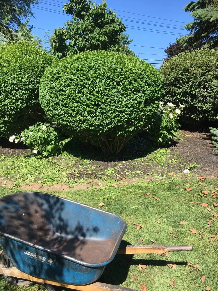 Trusted yard maintenance near you in Amherst, NY by JLS Property Maintenance