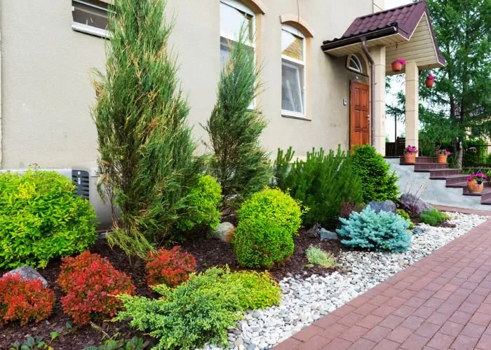 Custom lawn mowing service in Pipe Creek, TX by Jlvm Landscaping & Tree Service