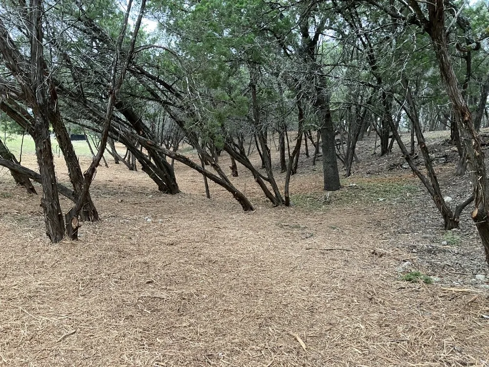Professional lawn mowing service in Pipe Creek, TX - Jlvm Landscaping & Tree Service