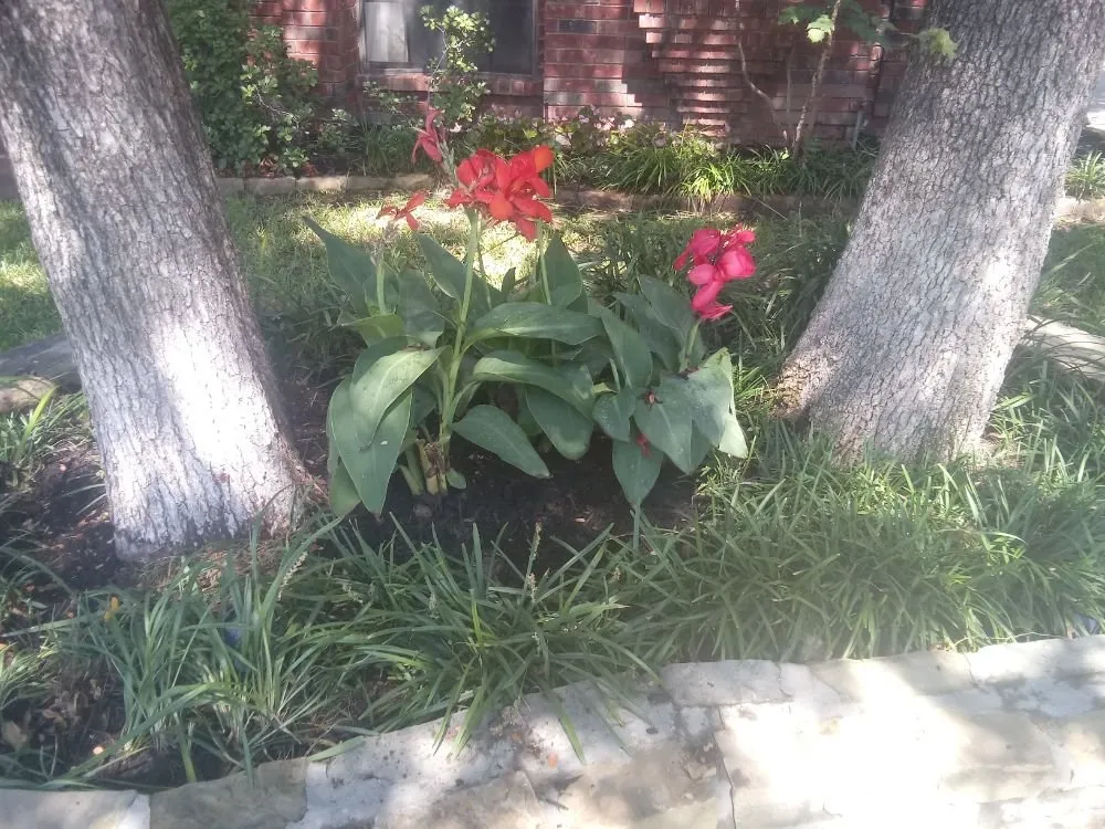 Custom landscaping services for outdoor upgrades in Bedford, TX by JLWALLACE Landscape Professionals