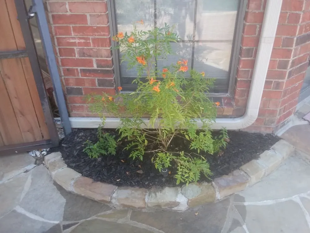 Custom yard maintenance for year-round maintenance across Bedford, TX - JLWALLACE Landscape Professionals