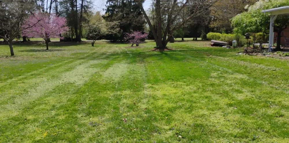 Top-rated landscaping services for beautiful yards in Pleasantville, OH by Jm And Db Trees And Landscape