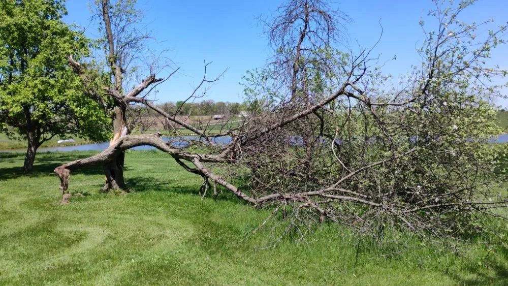Affordable lawn care service experts serving Pleasantville, OH - Jm And Db Trees And Landscape