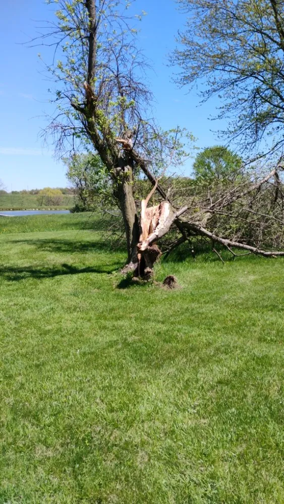 Affordable yard maintenance in Pleasantville, OH - Jm And Db Trees And Landscape