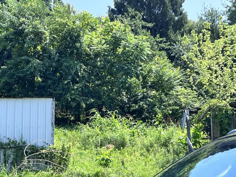 Professional landscaping services experts serving Pleasantville, OH - Jm And Db Trees And Landscape