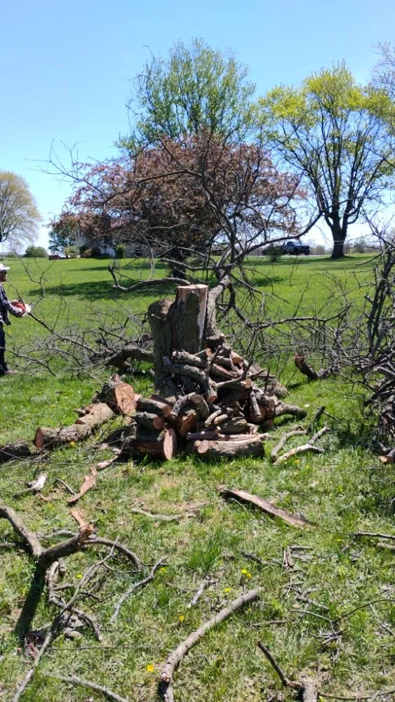 Professional garden landscaping near you across Pleasantville, OH - Jm And Db Trees And Landscape