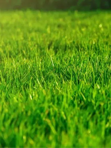 Top-rated garden landscaping in El Paso, TX - J&M Awnings and More