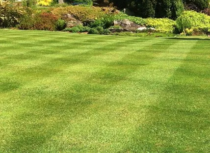 Top-rated residential landscaping for beautiful yards in Andalusia, PA by J&M Budget Lawn Mowing