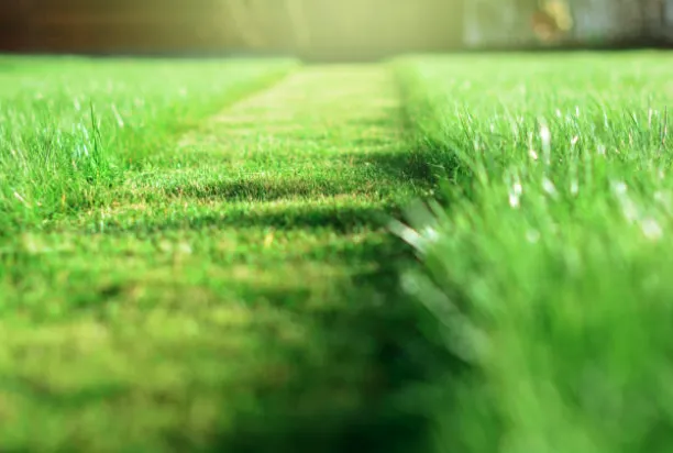 Custom lawn mowing service for homes in Andalusia, PA by J&M Budget Lawn Mowing
