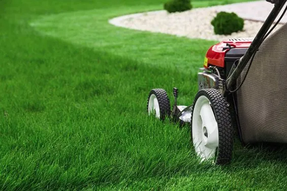 Professional lawn care service with custom design in Andalusia, PA by J&M Budget Lawn Mowing