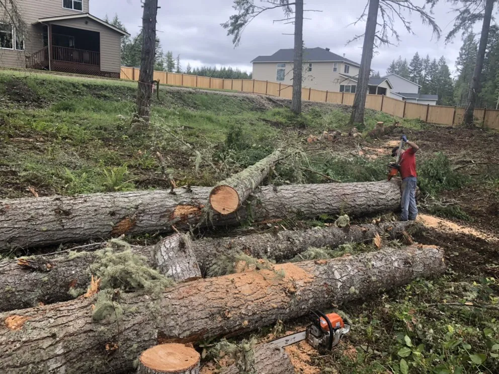 Trusted yard cleanup service near you in Olympia, WA by Jm Construction