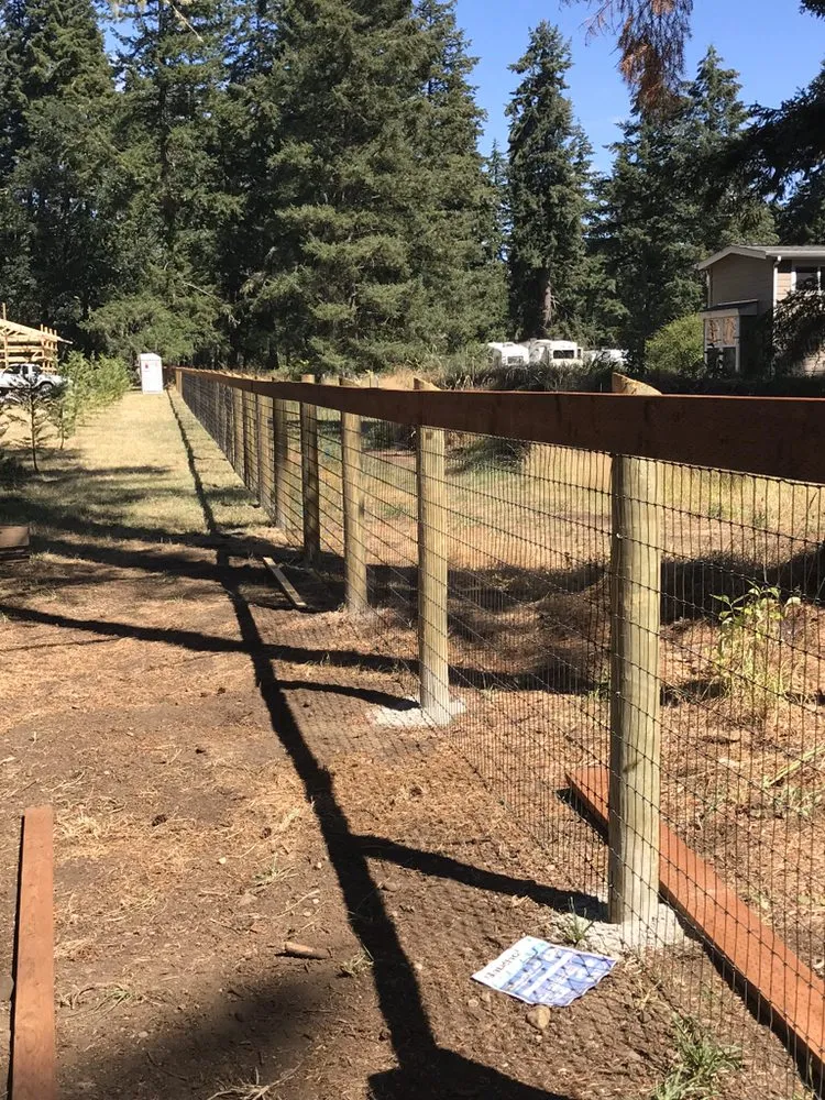 Reliable landscaping services experts serving Olympia, WA - Jm Construction