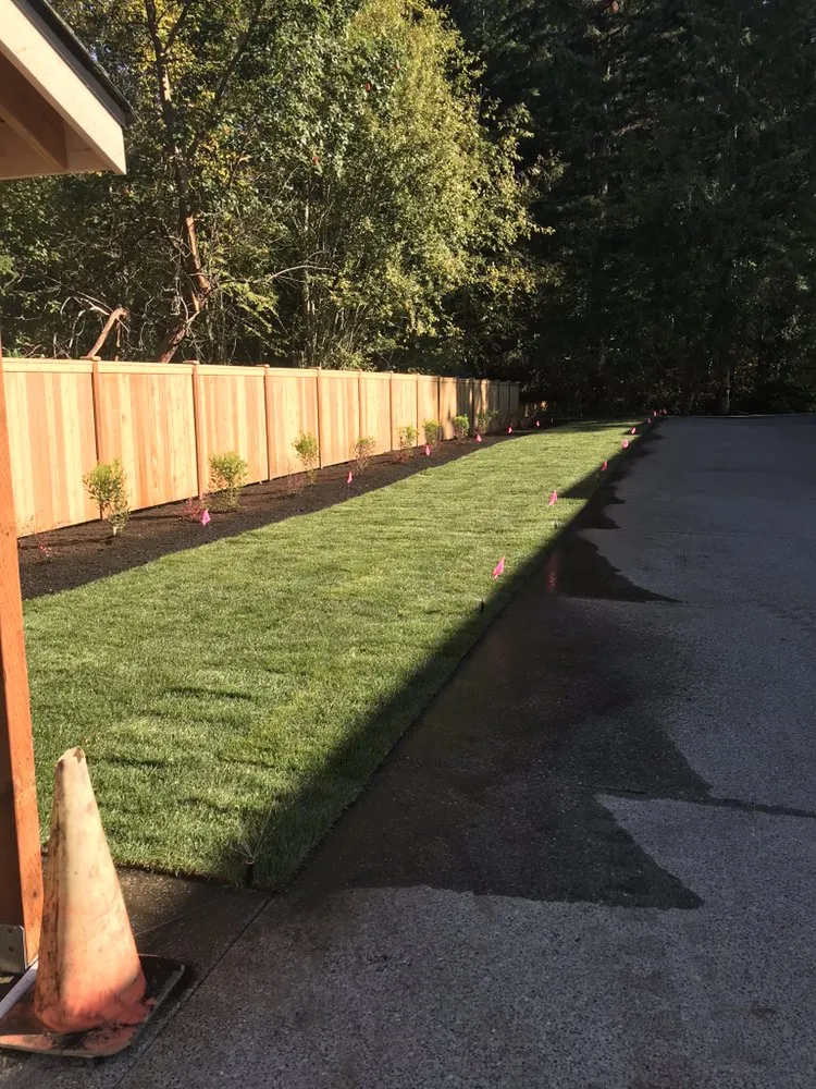 Affordable lawn mowing service in Olympia, WA by Jm Construction