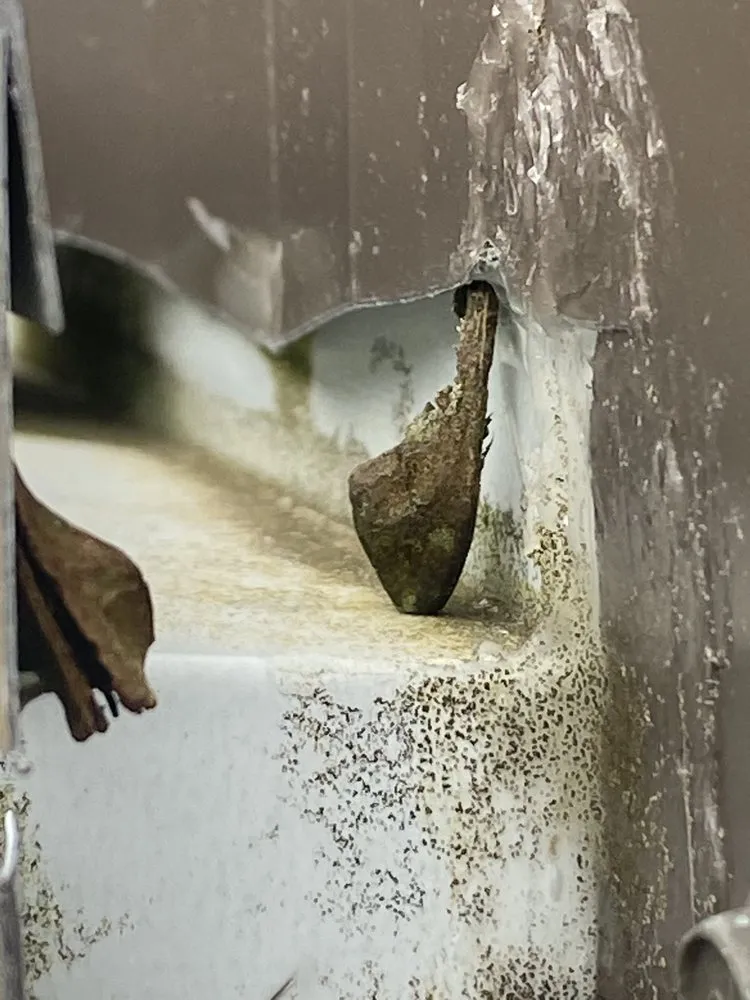 Affordable lawn care service with custom design in Olympia, WA by Jm Construction