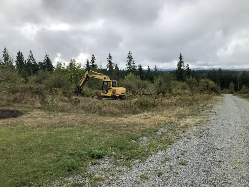 Top-rated yard cleanup service for year-round maintenance across Olympia, WA - Jm Construction