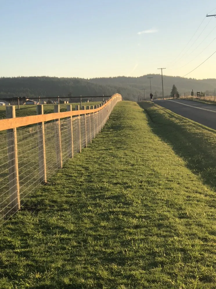 Expert yard maintenance in Olympia, WA by Jm Construction