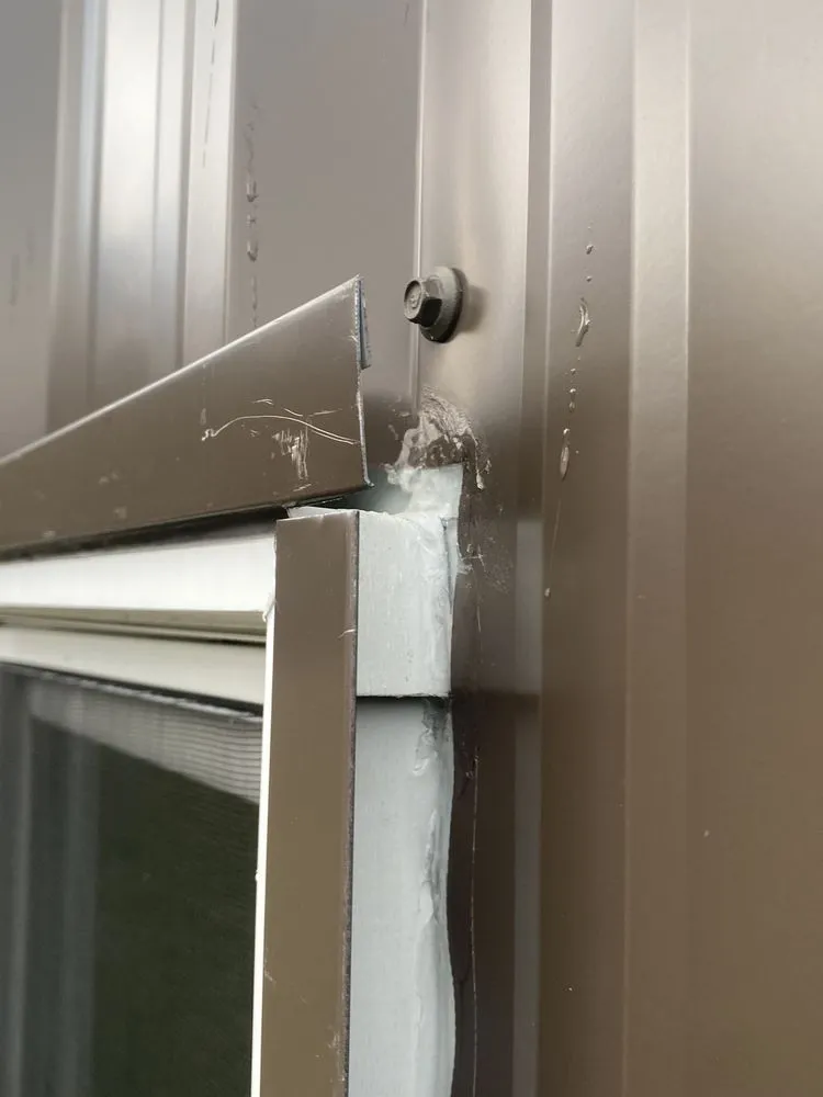 Custom yard cleanup service in Olympia, WA - Jm Construction