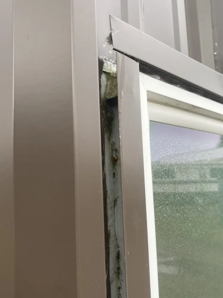 Trusted landscape design experts serving Olympia, WA - Jm Construction