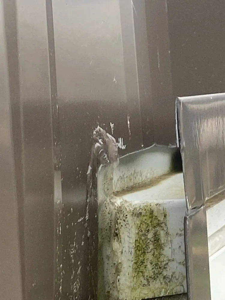 Affordable yard cleanup service in Olympia, WA by Jm Construction