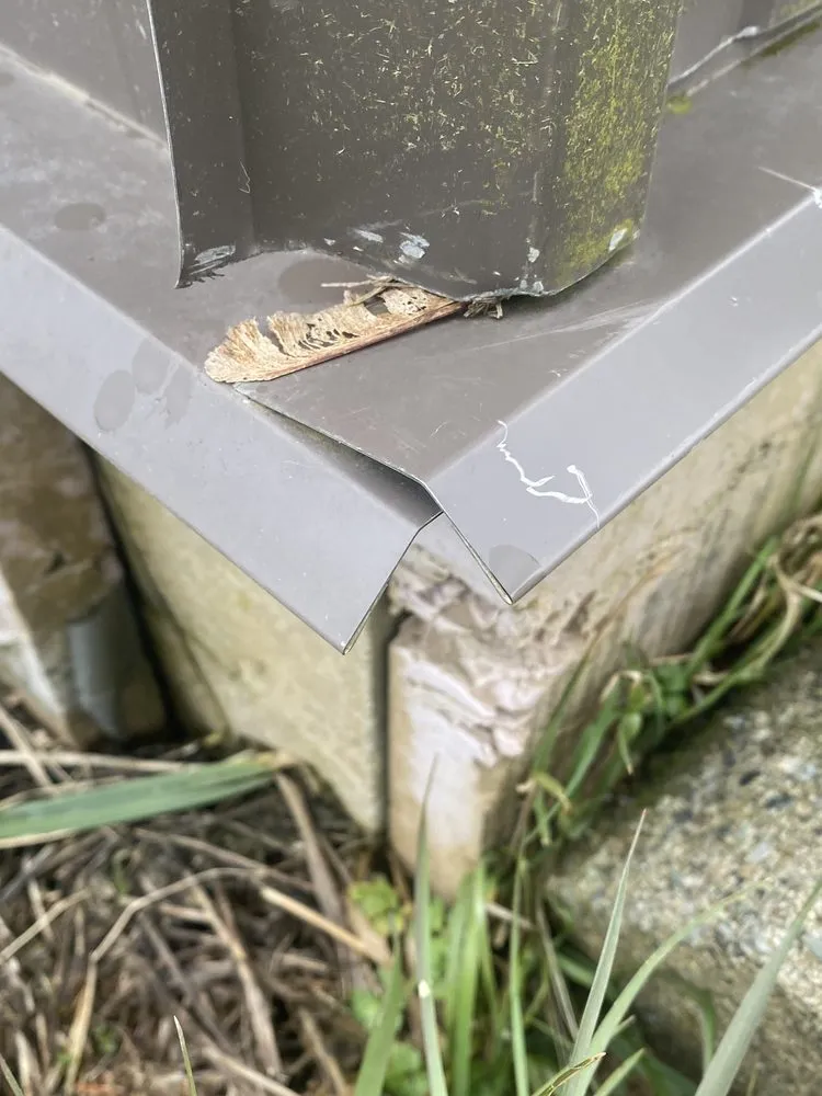 Custom yard maintenance for year-round maintenance across Olympia, WA - Jm Construction