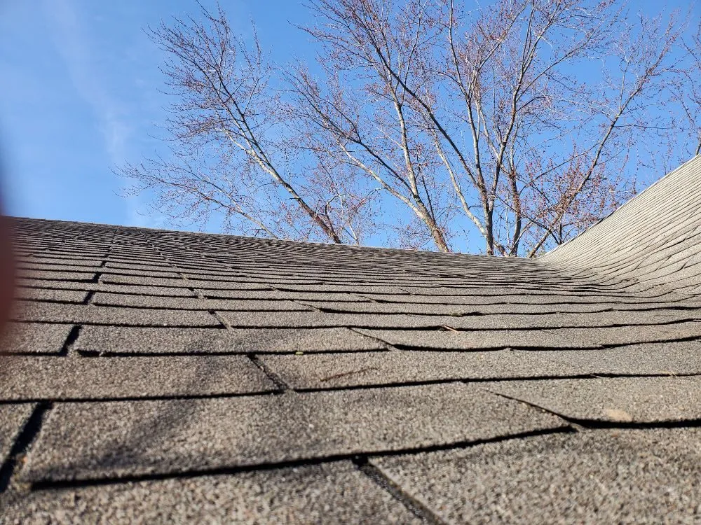 Expert yard cleanup service for beautiful yards across Saint Paul, IN - JM Construction