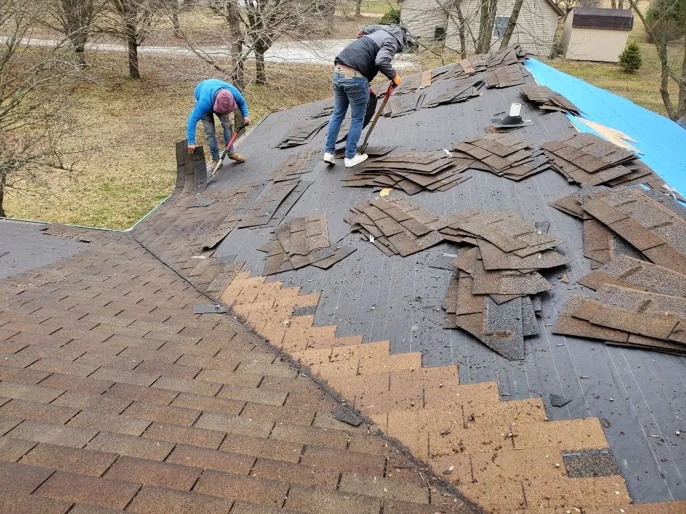 Custom yard cleanup service experts serving Saint Paul, IN - JM Construction