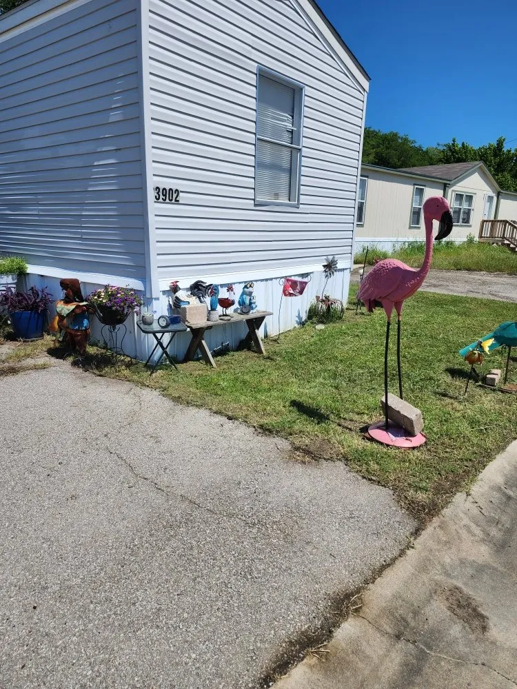 Reliable yard maintenance experts serving Temple, TX - JM Construction