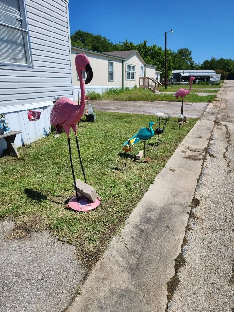 Affordable outdoor landscaping experts serving Temple, TX - JM Construction