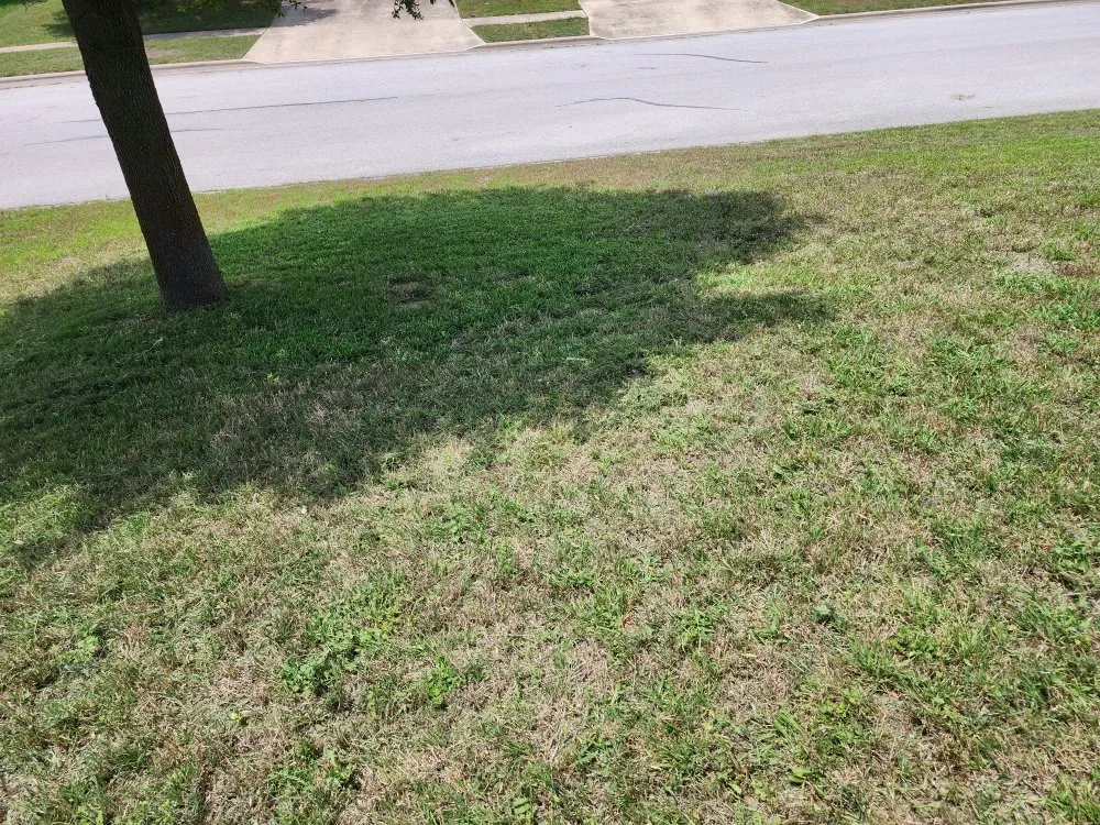 Custom landscape installation in Temple, TX - JM Construction