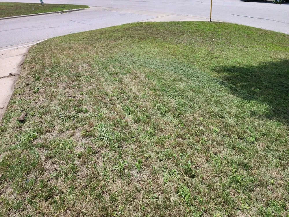 Affordable outdoor landscaping experts serving Temple, TX - JM Construction