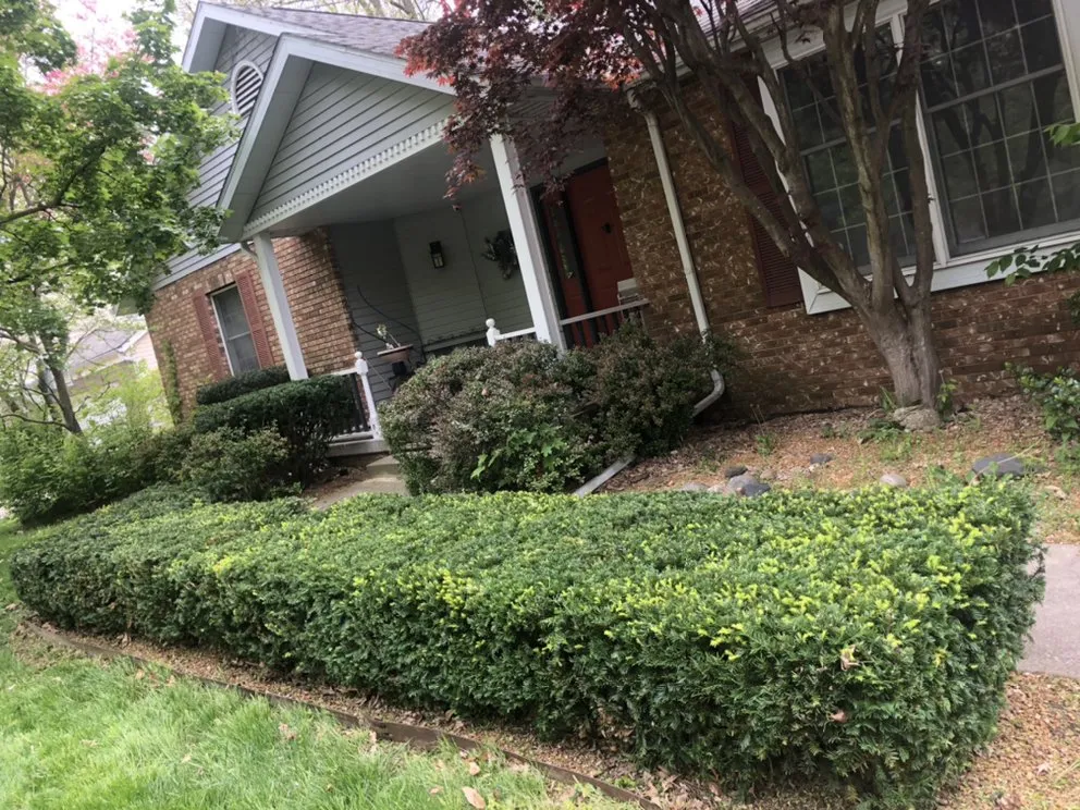 Affordable residential landscaping experts serving Springfield, IL - J&m Custom Creation Landscaping