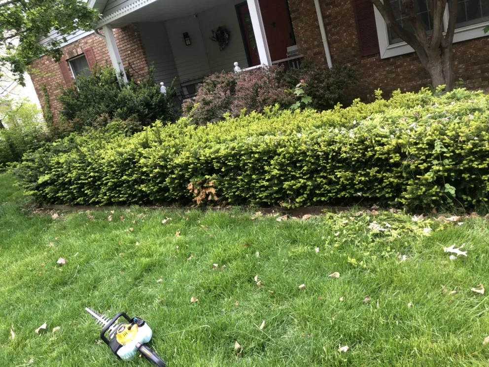 Professional outdoor landscaping in Springfield, IL by J&m Custom Creation Landscaping