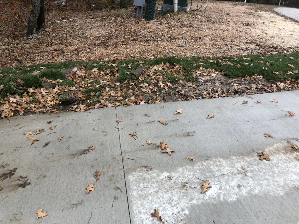 Local yard maintenance in Springfield, IL - J&m Custom Creation Landscaping