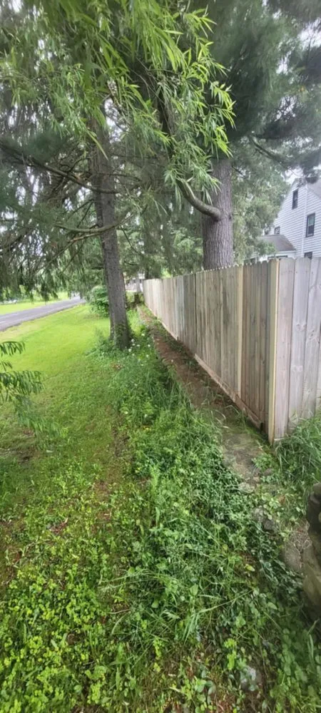 Top-rated landscaping services experts serving Moravia, NY - JM Cutting Edge Lawn Care