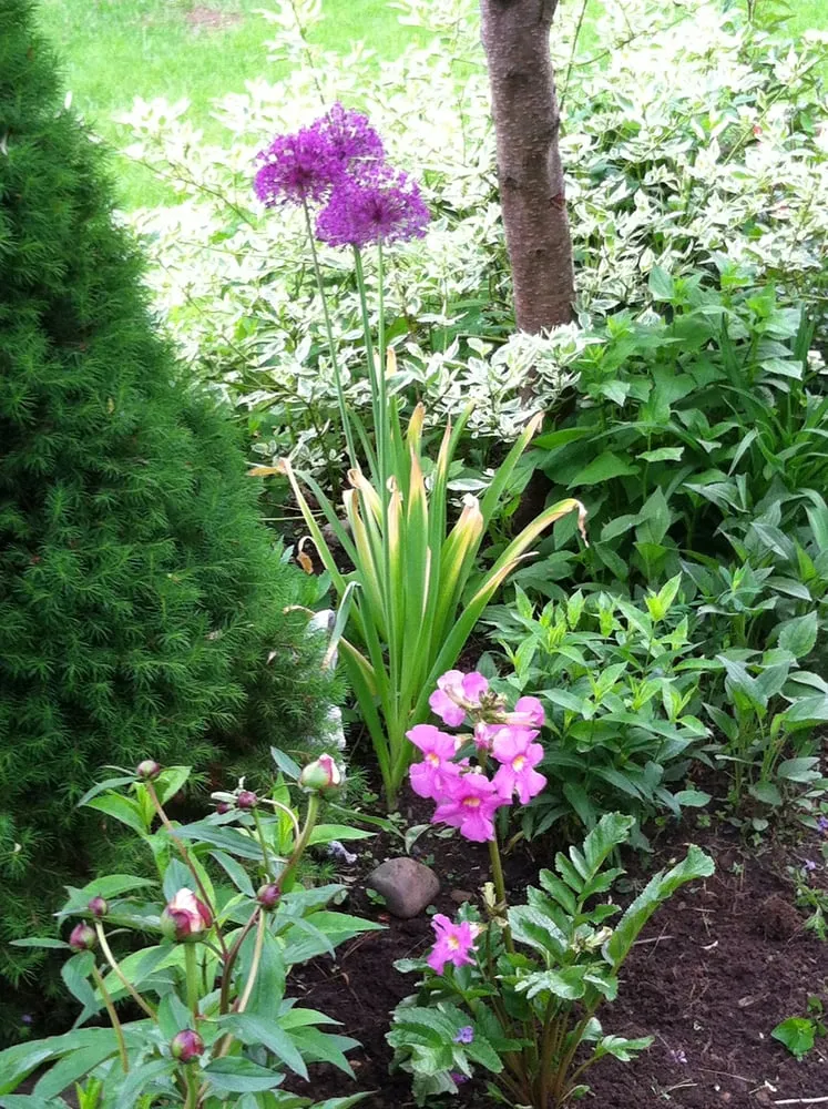 Professional yard maintenance for outdoor upgrades in West Sand Lake, NY by JM Designs