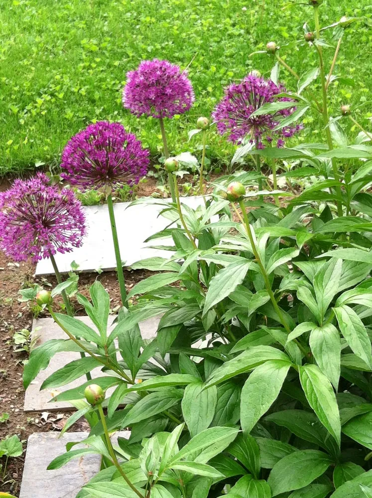 Custom yard cleanup service in West Sand Lake, NY - JM Designs