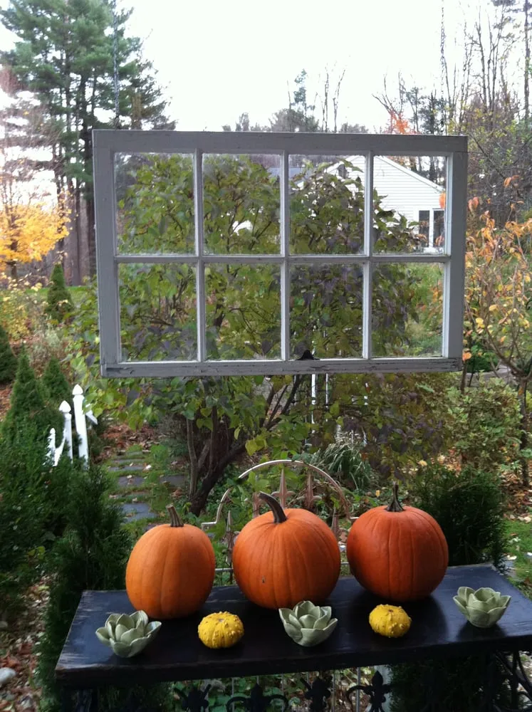 Expert yard cleanup service experts serving West Sand Lake, NY - JM Designs